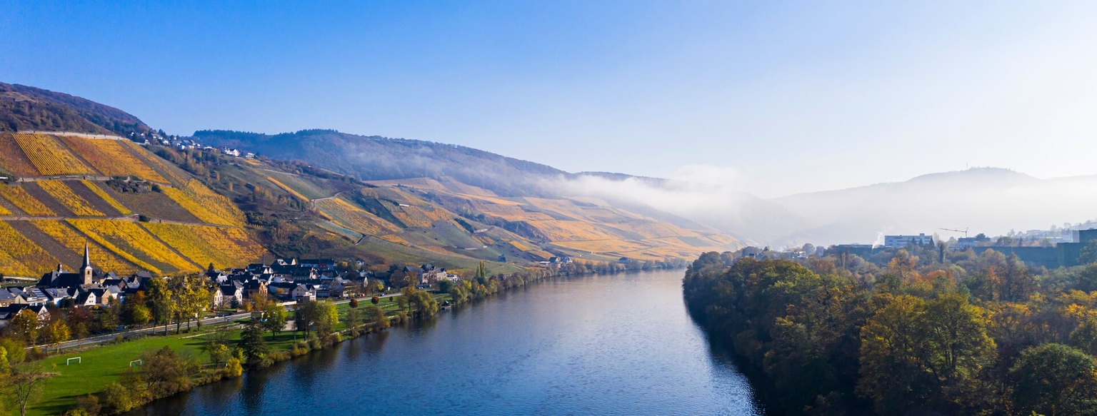 Mosel